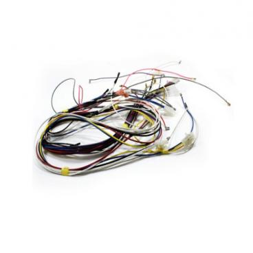 Kenmore 790.78874405 Wire Harness