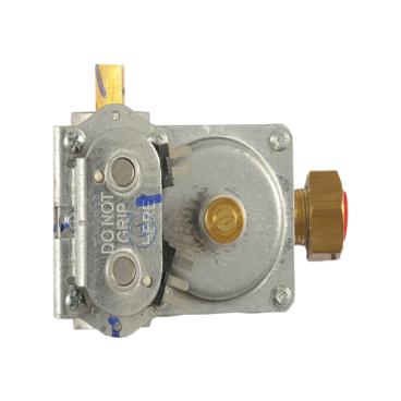 Samsung DV328AGWXAA Gas Valve - Genuine OEM