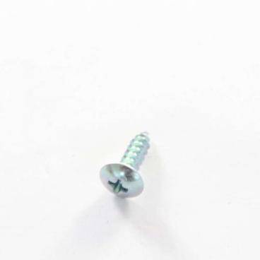 Samsung DVE45T6000W/A3-00 Tapping Screw - Genuine OEM