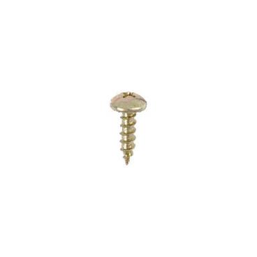 Kenmore 106.71989101 Screw - Genuine OEM