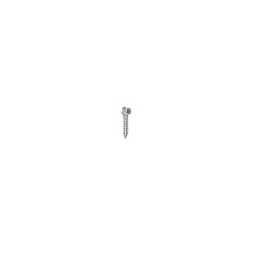 Roper RS25AWXWL00 Screw - Genuine OEM