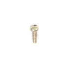 Bosch Part# 00608264 Screw (OEM)