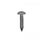 Bosch Part# 10002906 Screw - Genuine OEM