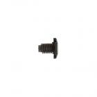 Frigidaire Part# 316272900 Screw (OEM)