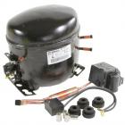 Admiral LTF1812ARB Compressor Assembly - Genuine OEM