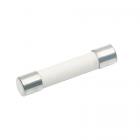 Amana 1708.001 Ceramic Fuse (20 A) - Genuine OEM