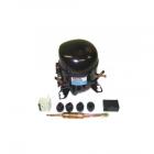 Amana A8RXCGFXS02 Compressor Kit - Genuine OEM