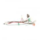 Roper RT14HDXEN00 Wire Harness - Genuine OEM