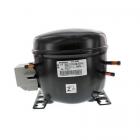 Whirlpool WZC3122DW00 Compressor - Genuine OEM