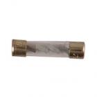 Frigidaire Part# 5303131297 Fuse (OEM)