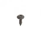 Frigidaire Part# 5303320422 Screw (OEM)