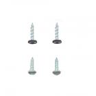 Frigidaire Part# 5304470865 Screw Kit (OEM)