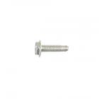 Frigidaire Part# 5309950602 Hinge Screw (OEM)