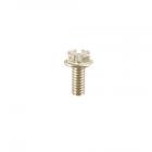 Whirlpool Part# 61199 Screw (OEM)