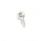 Maytag Part# 7101P287-60 Metal Grounding Screw (OEM)