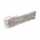 GE GFE28GGKDBB Evaporator and Tube Assembly - Genuine OEM