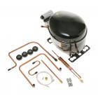 GE GSK25LHWHCCC Compressor Kit (R134A) - Genuine OEM