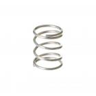 GE WSM2420TBAAA Lock Spring - Genuine OEM