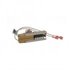 GE ZGU36L4RH3SS Burner Igniter - Genuine OEM