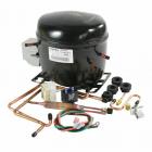 GE ZIFI240PBLII Compressor Replacement Kit - Genuine OEM