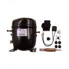 Compressor Kit for Crosley CT15G4W Refrigerator