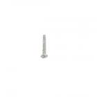 Whirlpool Part# W10001240 Screw (OEM)