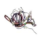 Whirlpool Part# W10111424 Wire Harness (OEM)