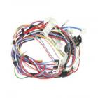 Whirlpool Part# W10113070 Wire Harness (OEM)