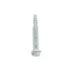 Whirlpool Part# W10216919 Screw (OEM)