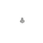 Whirlpool Part# W10491986 Screw (OEM)