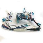 Whirlpool Part# W10917688 Wire Harness (OEM)