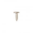 GE Part# WB01K10086 Screw (OEM) 818 AB TRP 3/8 SS