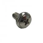 Haier Part# WD-6150-55 Screw (OEM)