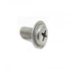 GE Part# WH02X10198 Screw (OEM)