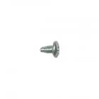 Whirlpool Part# WP313808 Screw (OEM)