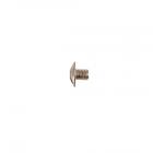 Whirlpool Part# WP486579 Screw (OEM)