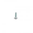 Whirlpool Part# WPW10288126 Screw (OEM)