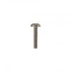 GE Part# WR01X10057 Screw (OEM) #10-32x3/4