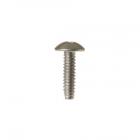 GE Part# WR01X10484 Screw (OEM)