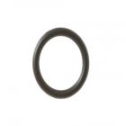 GE Part# WS03X10021 O Ring (OEM)