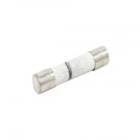 Amana ACO1560AC in-line Fuse - Genuine OEM