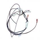 Amana AGR5735QDB Spark Switch Harness - Genuine OEM