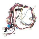 Whirlpool Part# WP2262071 Tie Wire (OEM)