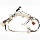 Whirlpool Part# W10146020 Wire Harness (OEM)