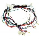 Whirlpool Part# W10166308 Wire Harness (OEM)