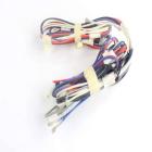 Whirlpool Part# W10160240 Wire Harness (OEM)