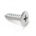 GE Part# WR02X11870 Special Screw (OEM)