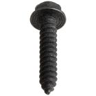 GE Part# WZ4X220D Screw (OEM)