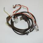 GE Part# WB18K5654 Wire Harness (OEM)