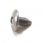 GE Part# WJ01X10037 Special Screw (OEM)